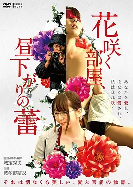 北方来信电影海报